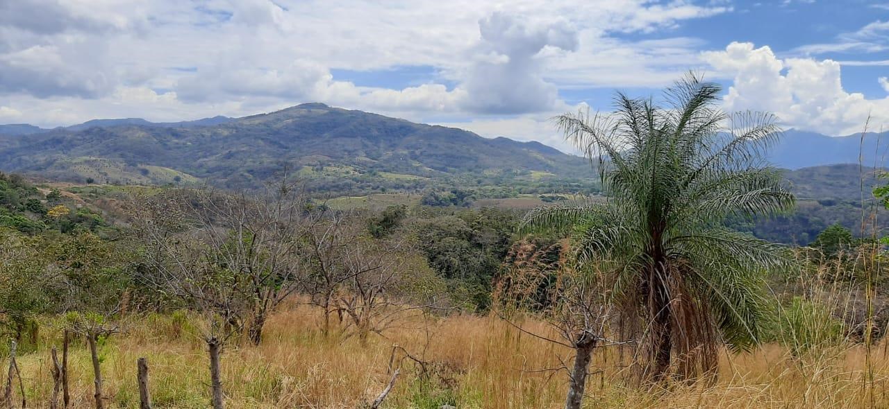 View lot with plenty of usable area in Atenas - Escobal, Atenas, Alajuela